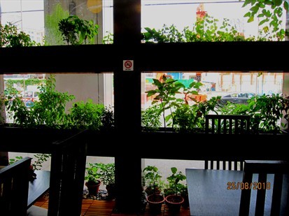 Mini garden