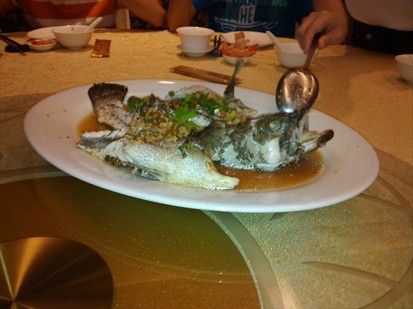 Steamed Black Garoupa with Taiwanese Cordial Tree
